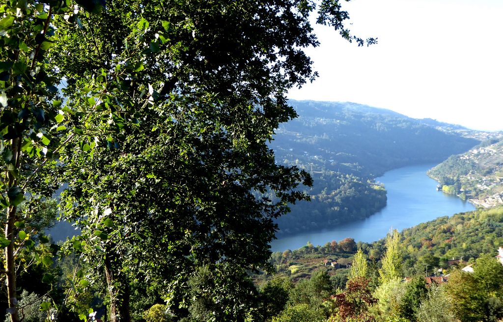 ST - MARCO DE CANAVESES